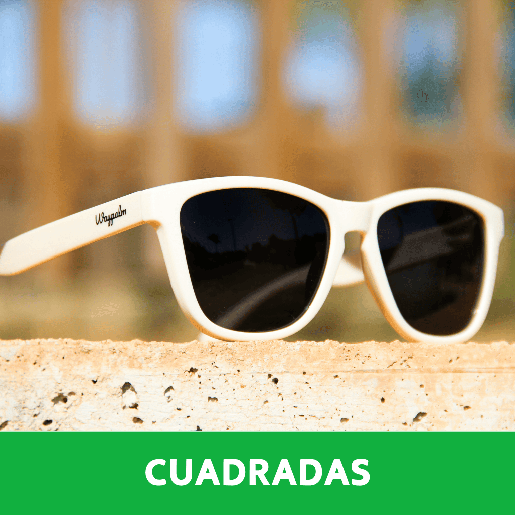 Gafas de Sol Cuadradas - Waypalm ©