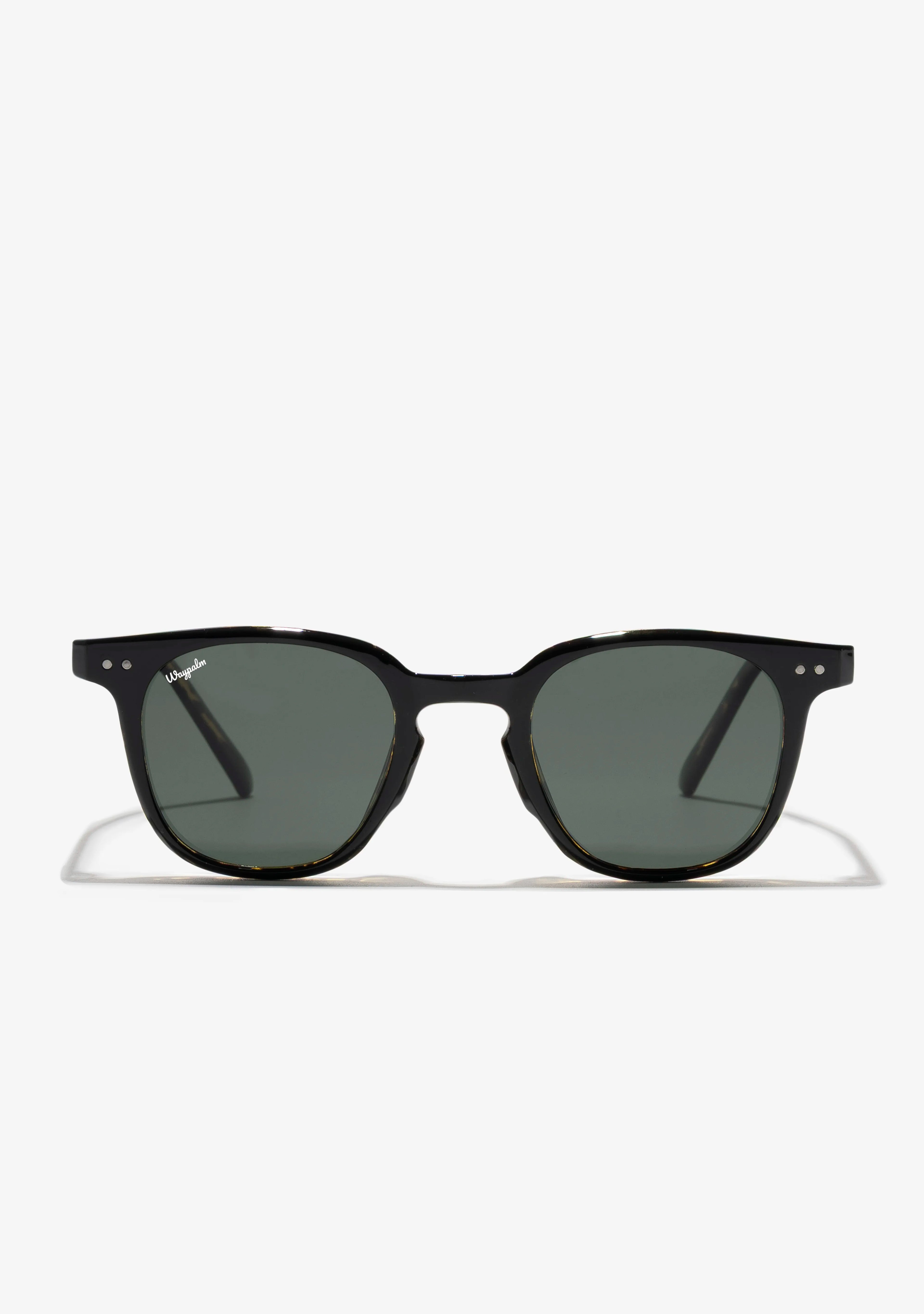 Gafas de Sol Waypalm Portofino Black Carey