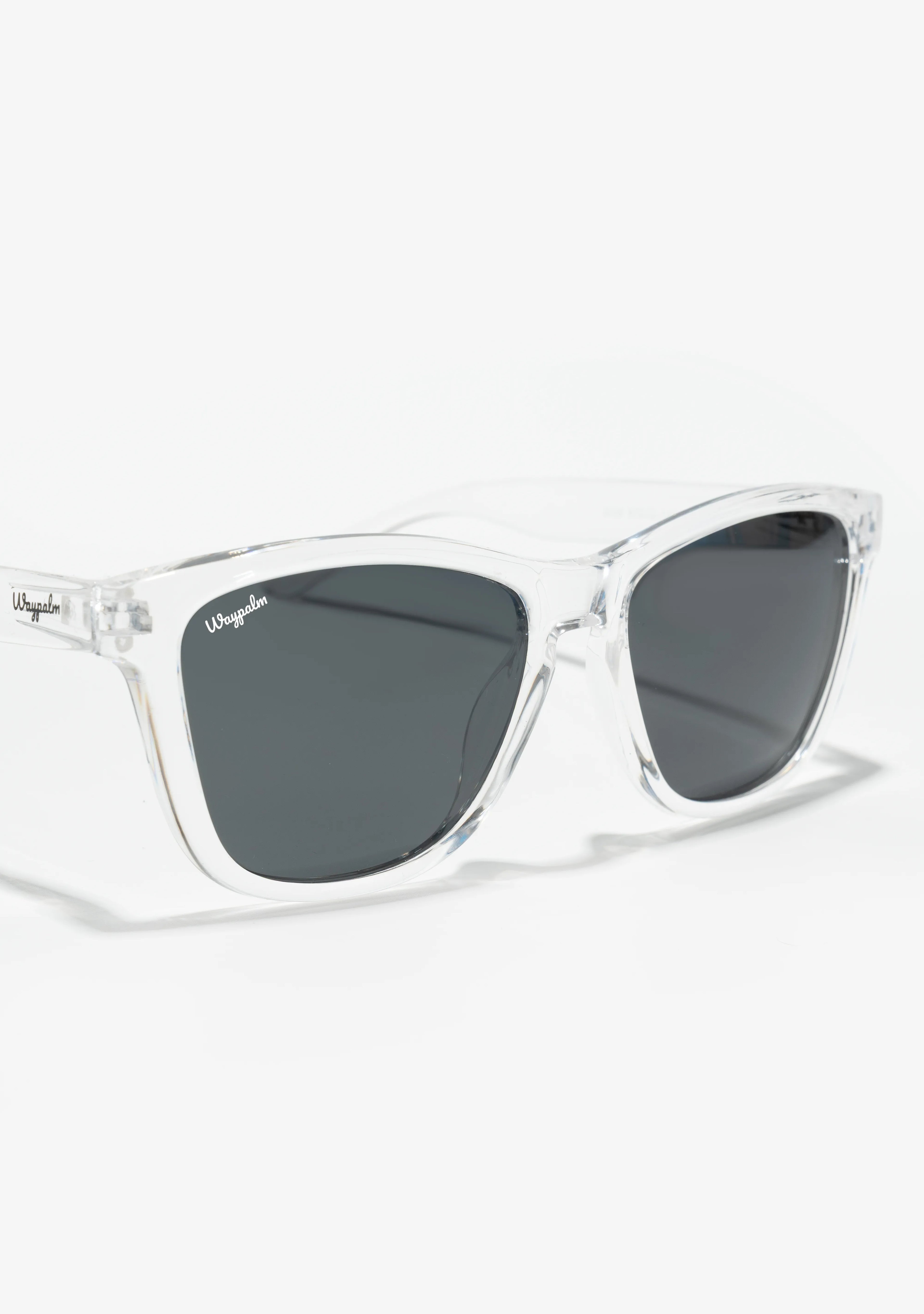 Regular Transparent Black