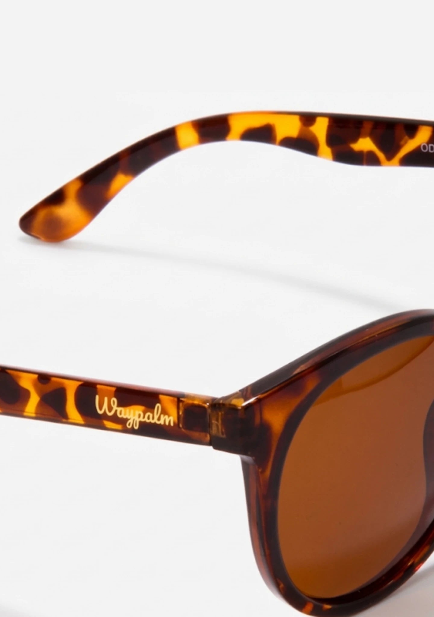 Gafas de Sol Mujer Carey Audrey | Waypalm