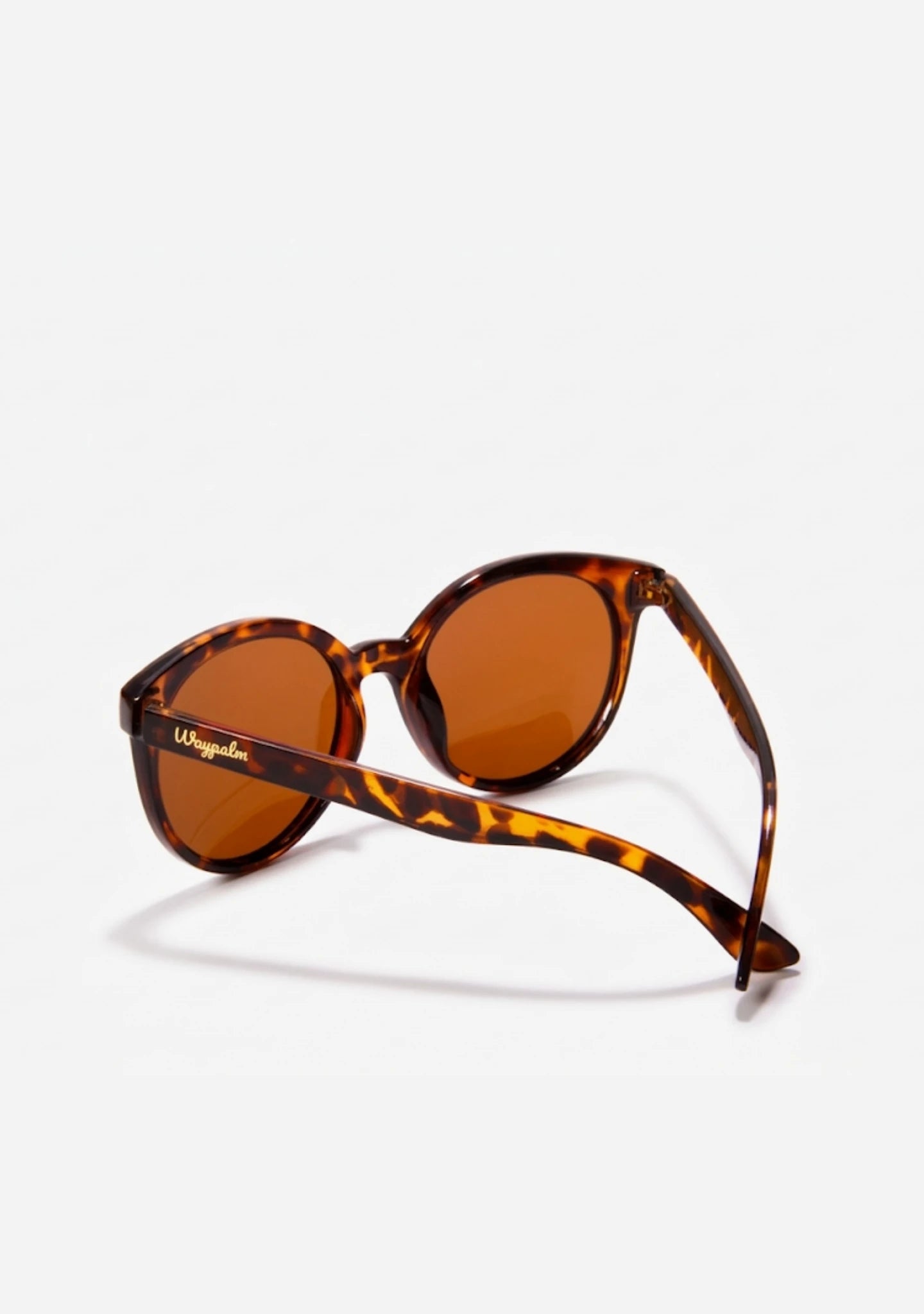 Gafas de Sol Mujer Carey Audrey | Waypalm