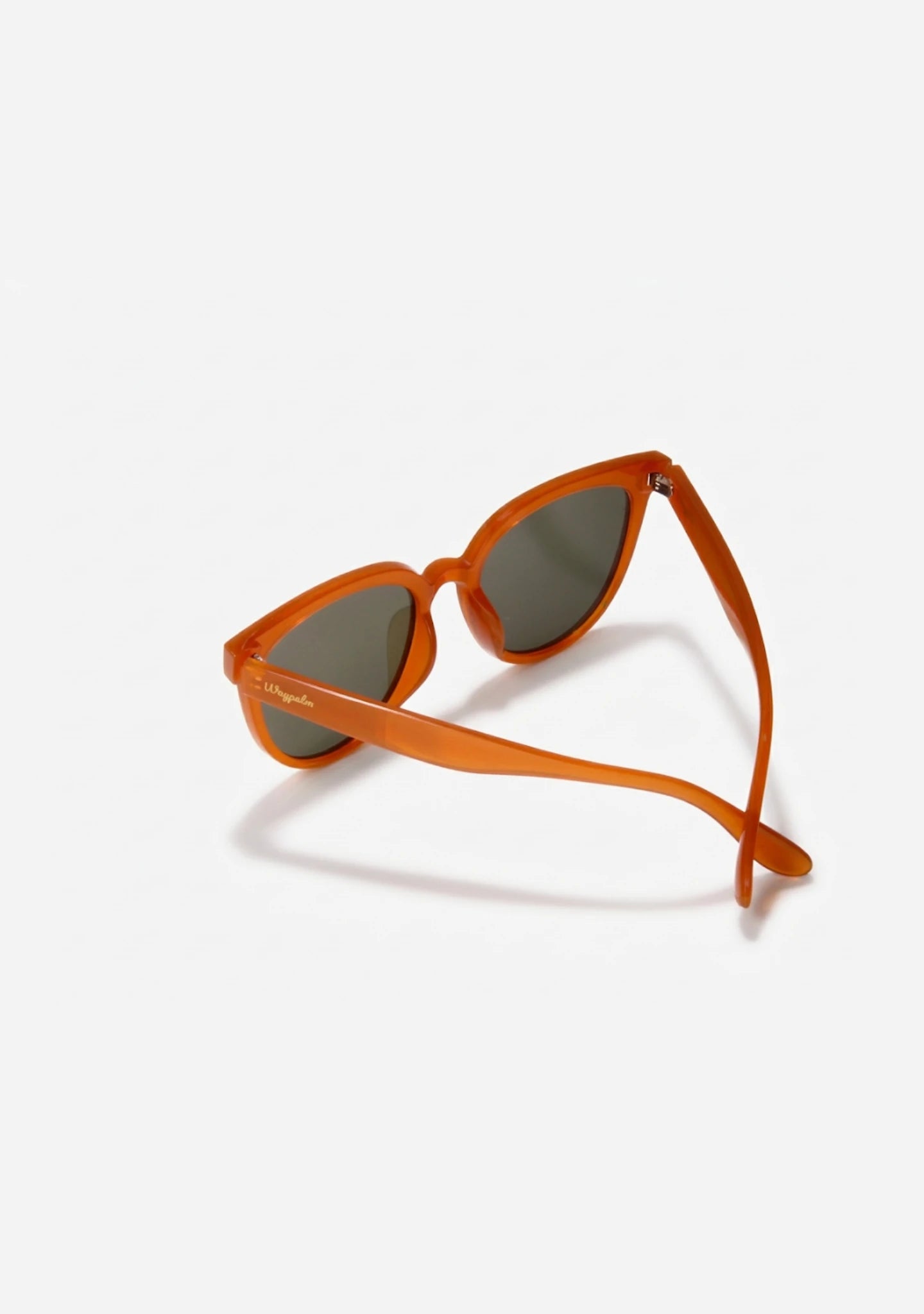 Gafas de Sol Mujer Caramel Divine | Waypalm