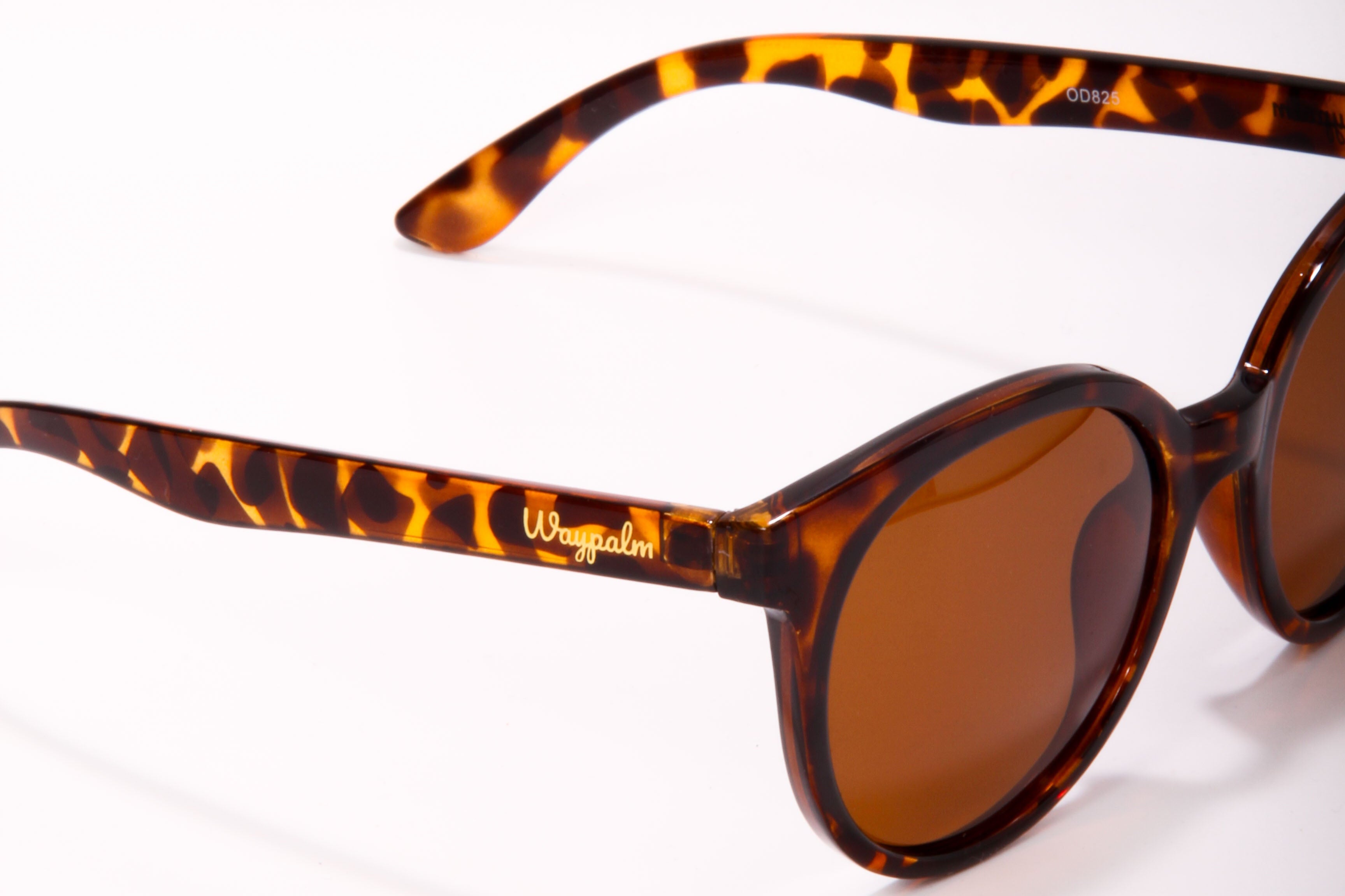 Gafas de Sol  Ojos de Gato Carey Audrey Waypalm