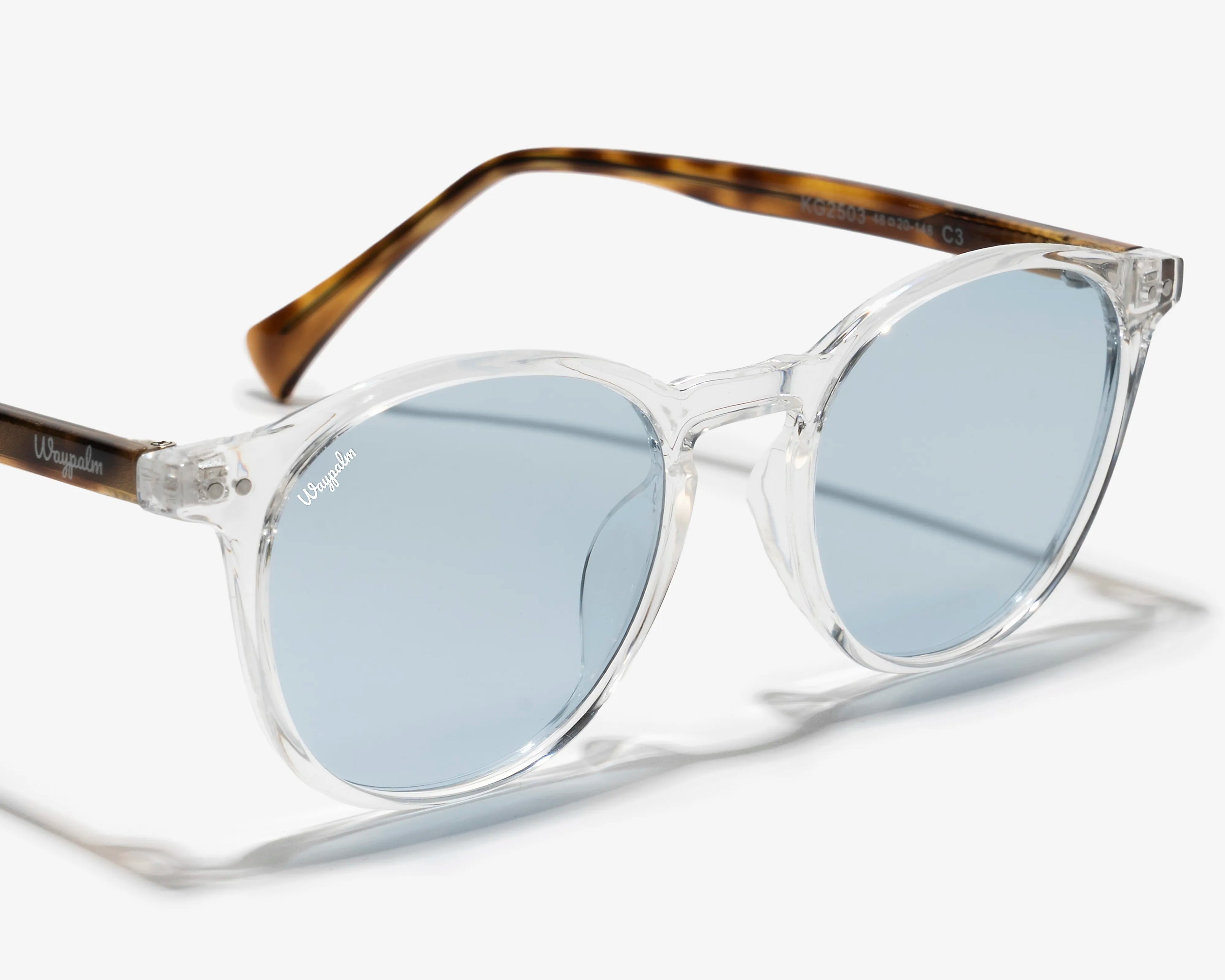 Gafas de Sol Redondas Carey Waypalm Malibu