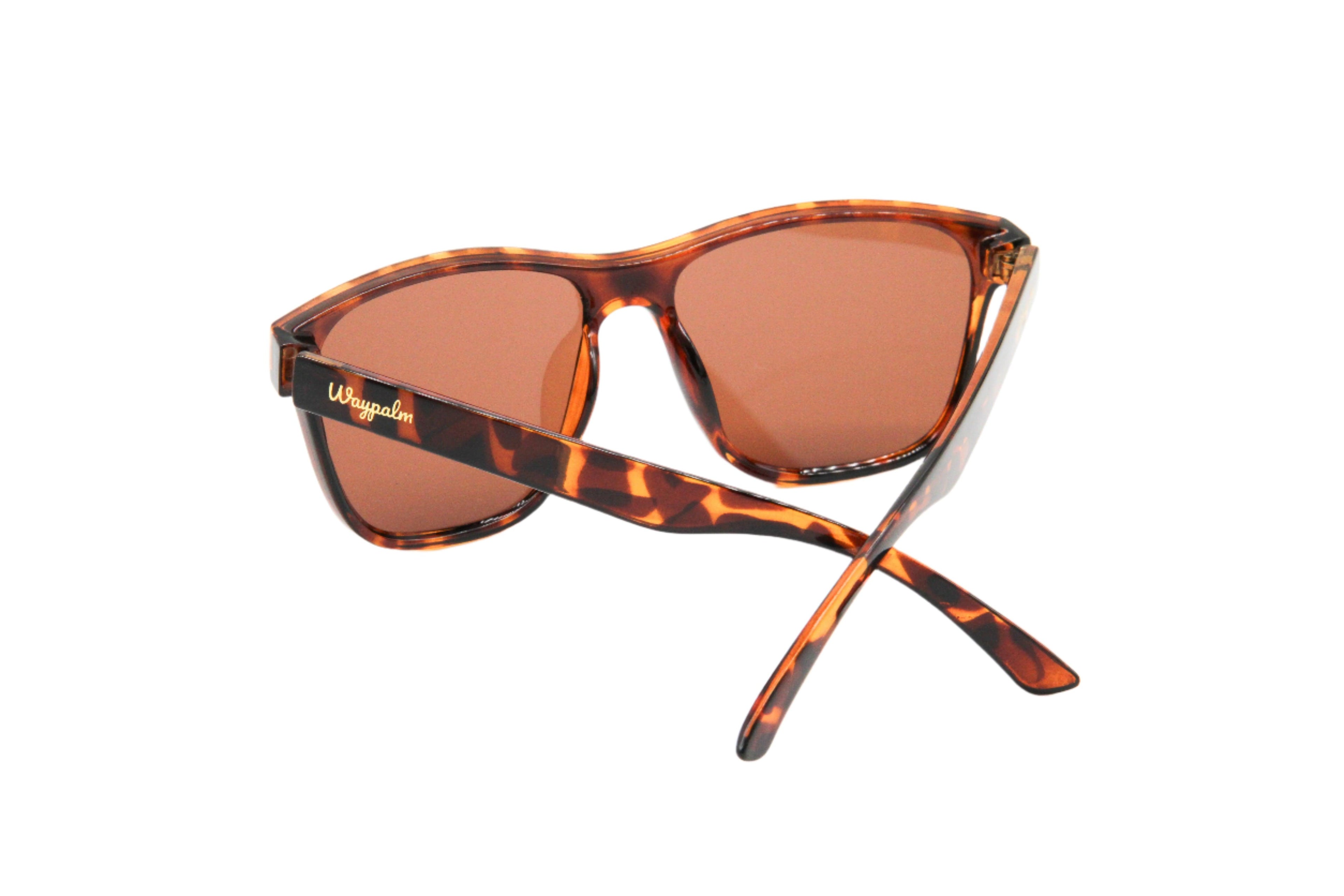 Curve Carey - Waypalm ©