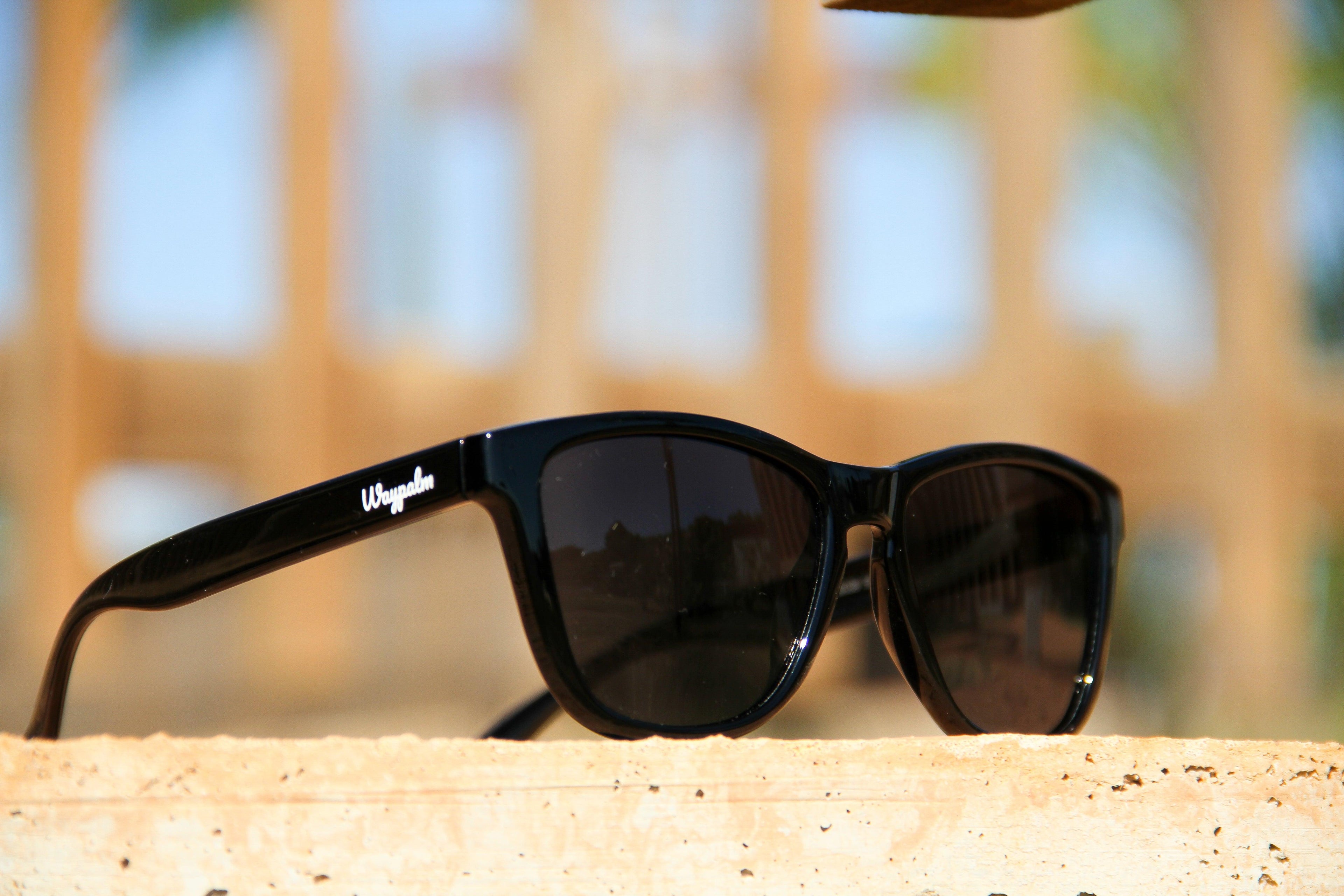 Regular Polarized - All Black - Waypalm ©