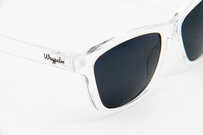 Regular Polarized - Transparent Black