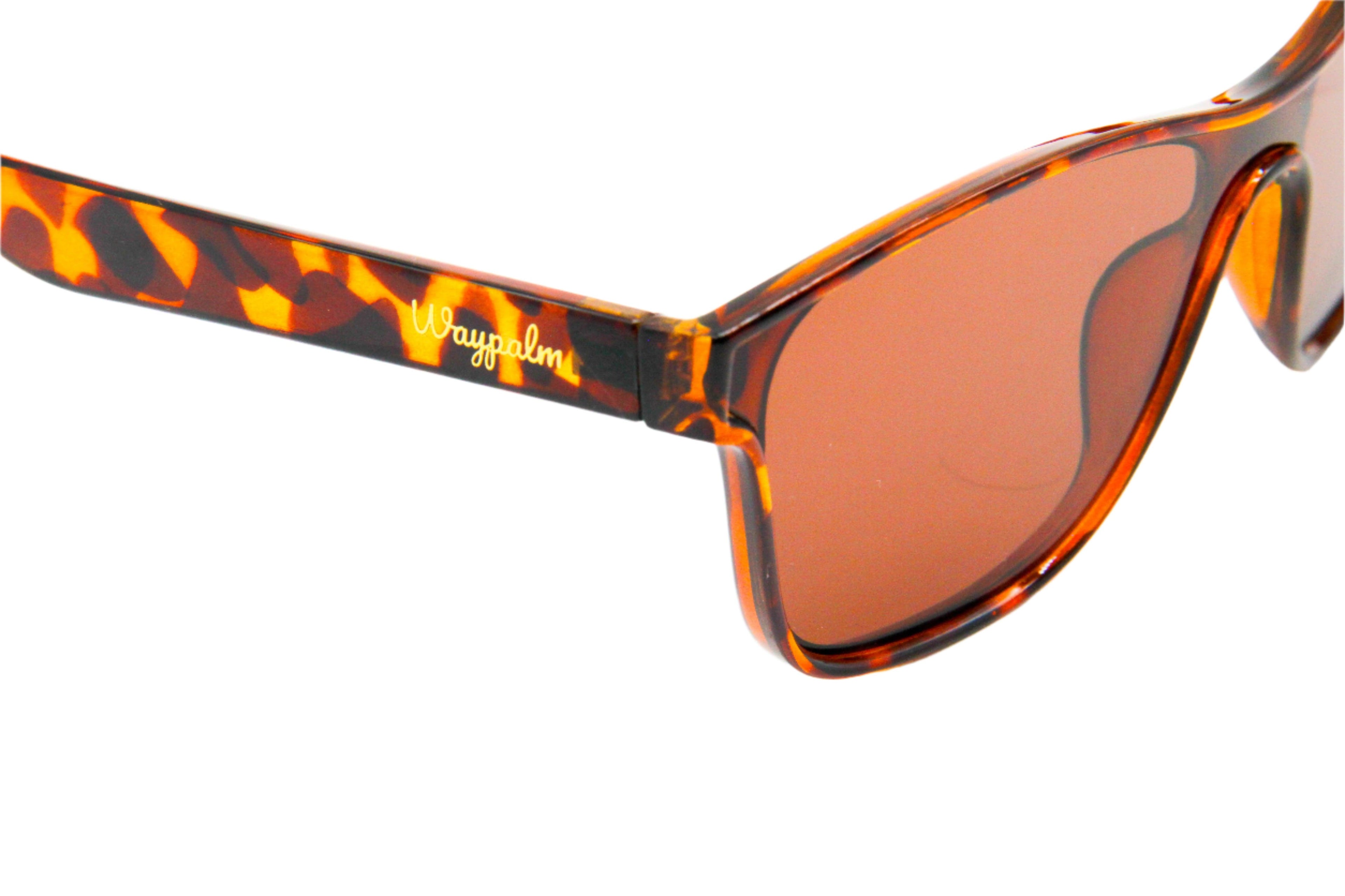 Curve Carey - Waypalm ©