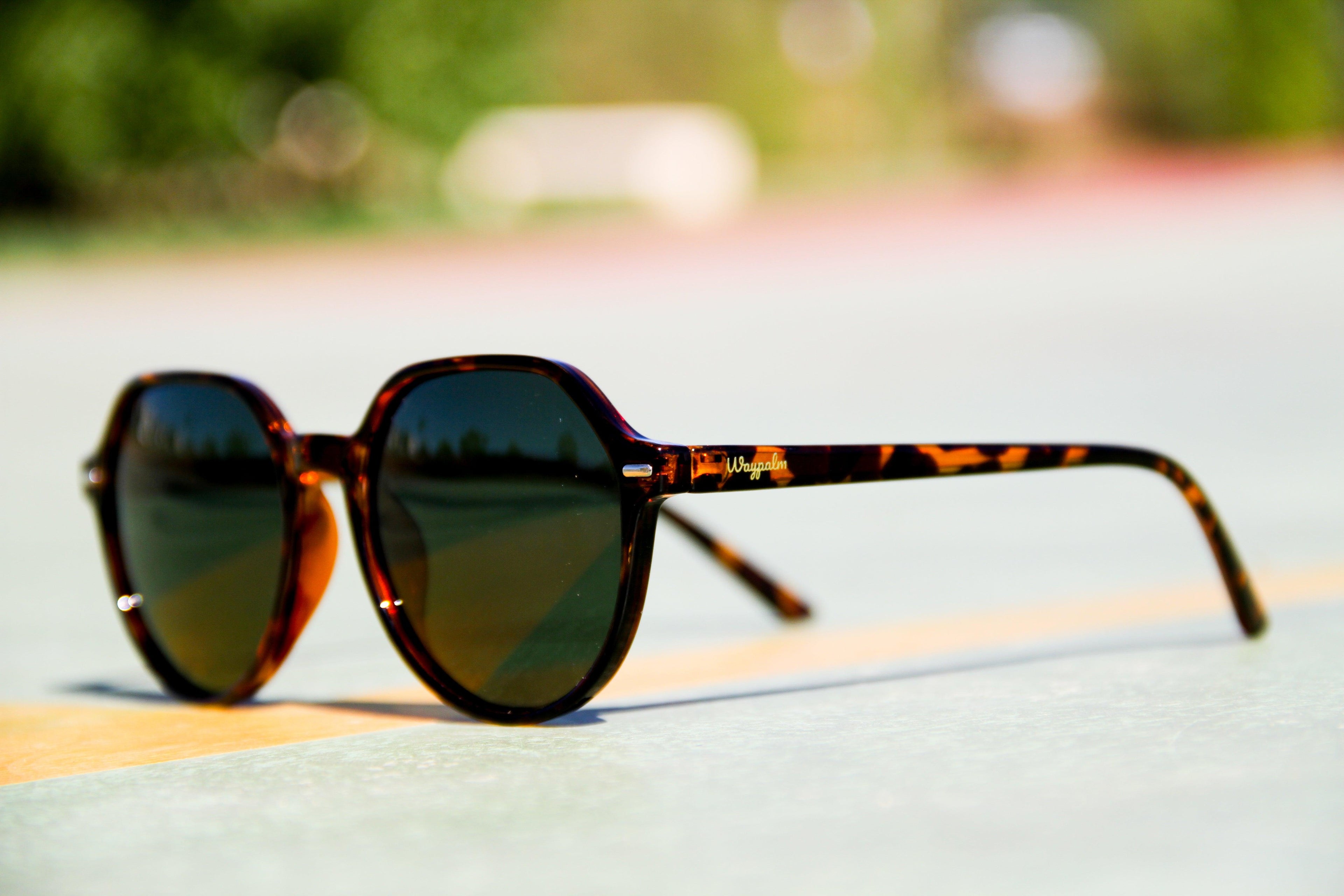 Marbella - Carey Green - Waypalm ©