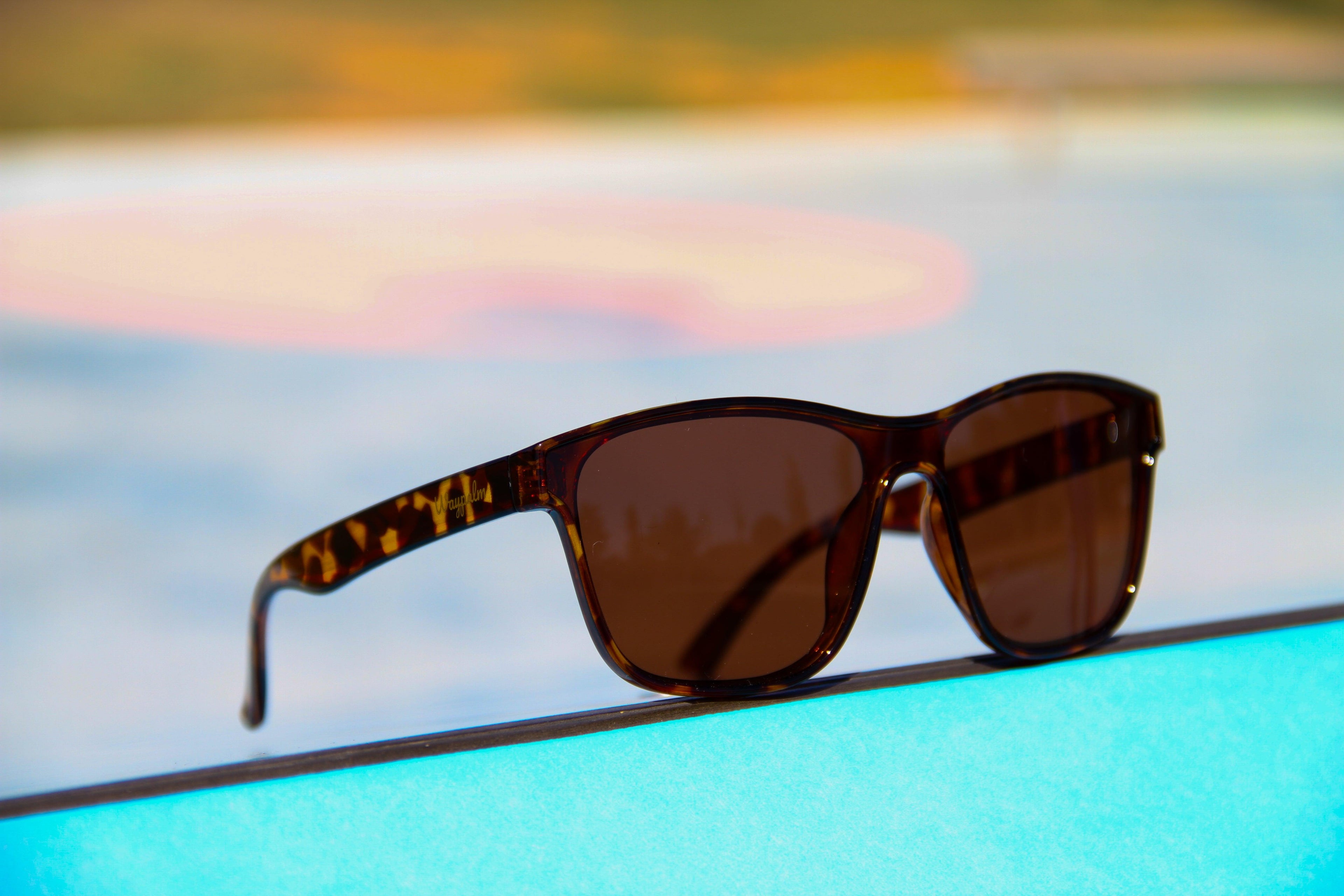 Curve Carey - Waypalm ©