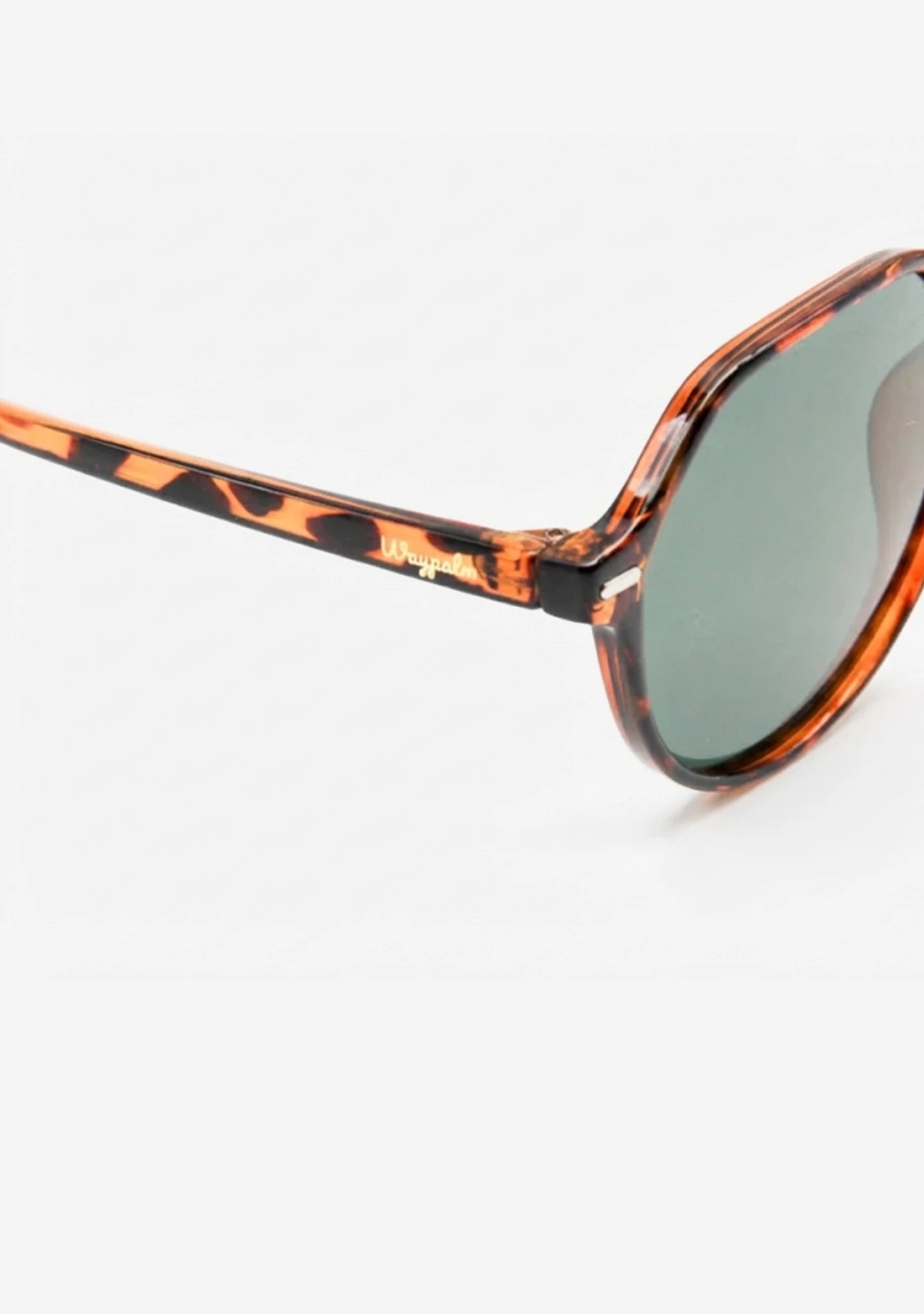 Gafas de Sol Redondas Carey Marbella | Waypalm