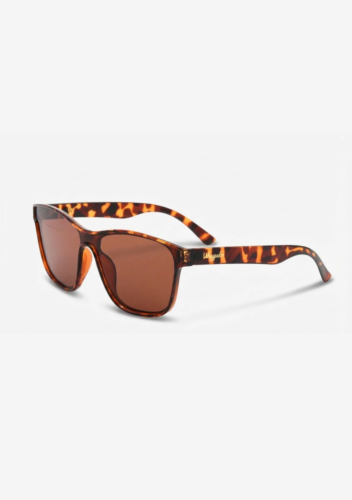 Gafas de Sol Grandes Carey Palma | Waypalm