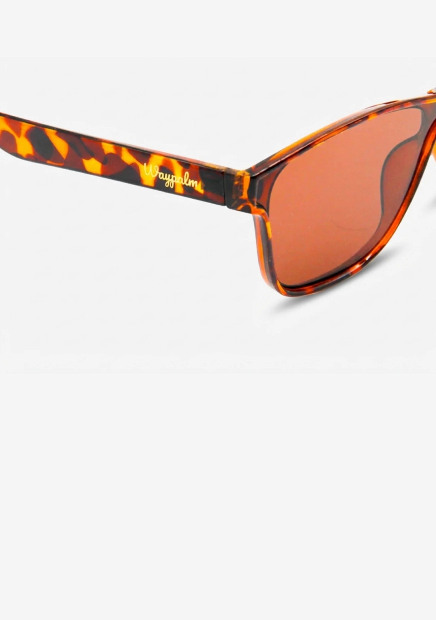 Gafas de Sol Grandes Carey Palma | Waypalm
