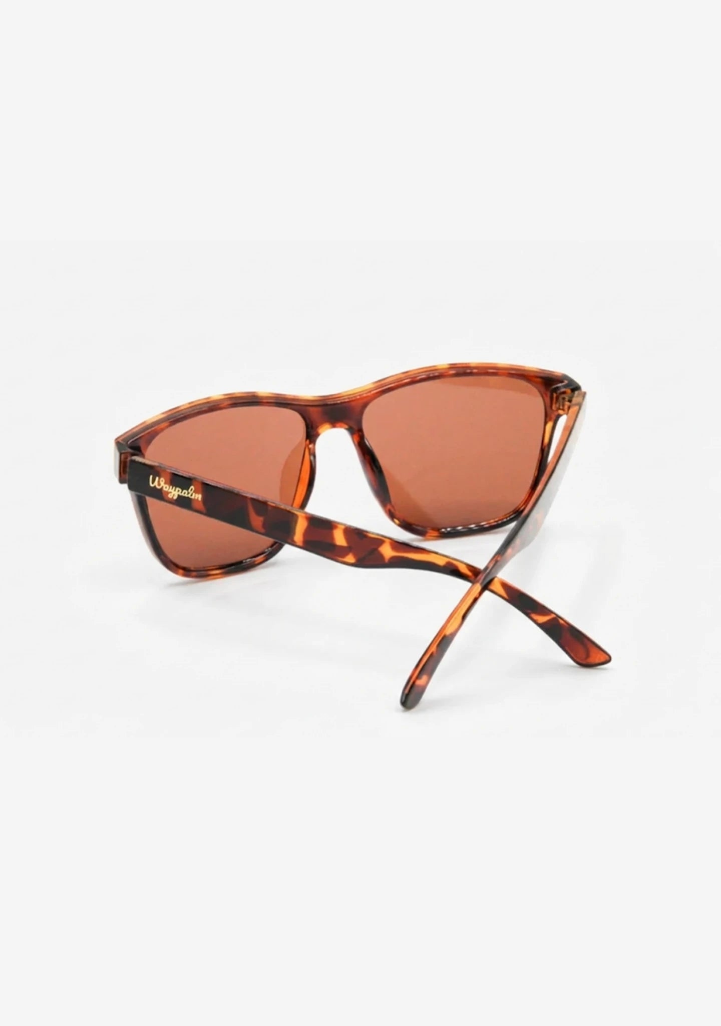 Gafas de Sol Grandes Carey Palma | Waypalm